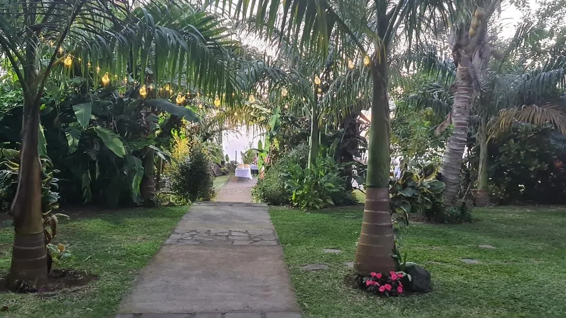 Allée du jardin tropical